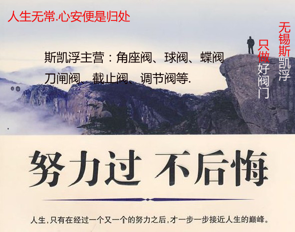 乐竞体育阀门