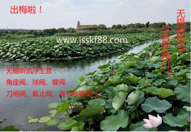荷花.无锡乐竞体育阀门