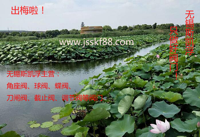 出梅啦 乐竞体育角座阀